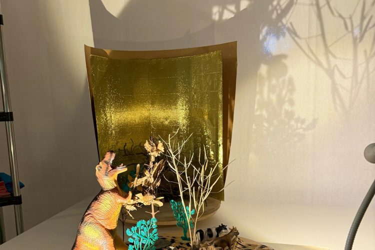 Toy dinosaur and forest figures cast large shadows on a wall in a classroom light-table display.